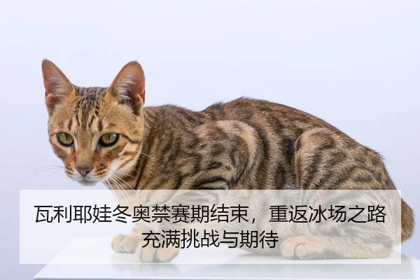 瓦利耶娃冬奥禁赛期结束，重返冰场之路充满挑战与期待