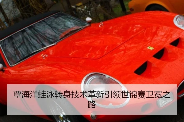 覃海洋蛙泳转身技术革新引领世锦赛卫冕之路